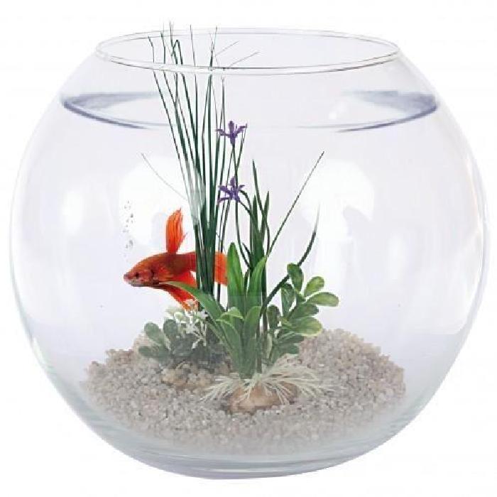 Aquarium original pas cher