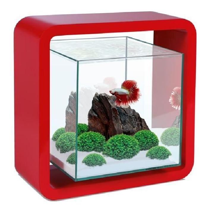 Aquarium pour poisson rouge pas cher