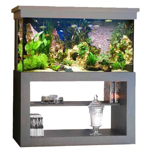 Vente d aquarium pas cher