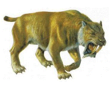 Le premier animal sur terre