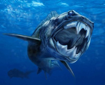 Les premiers animaux sur terre