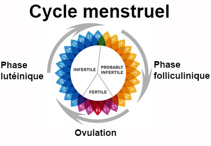 Regle mensuel